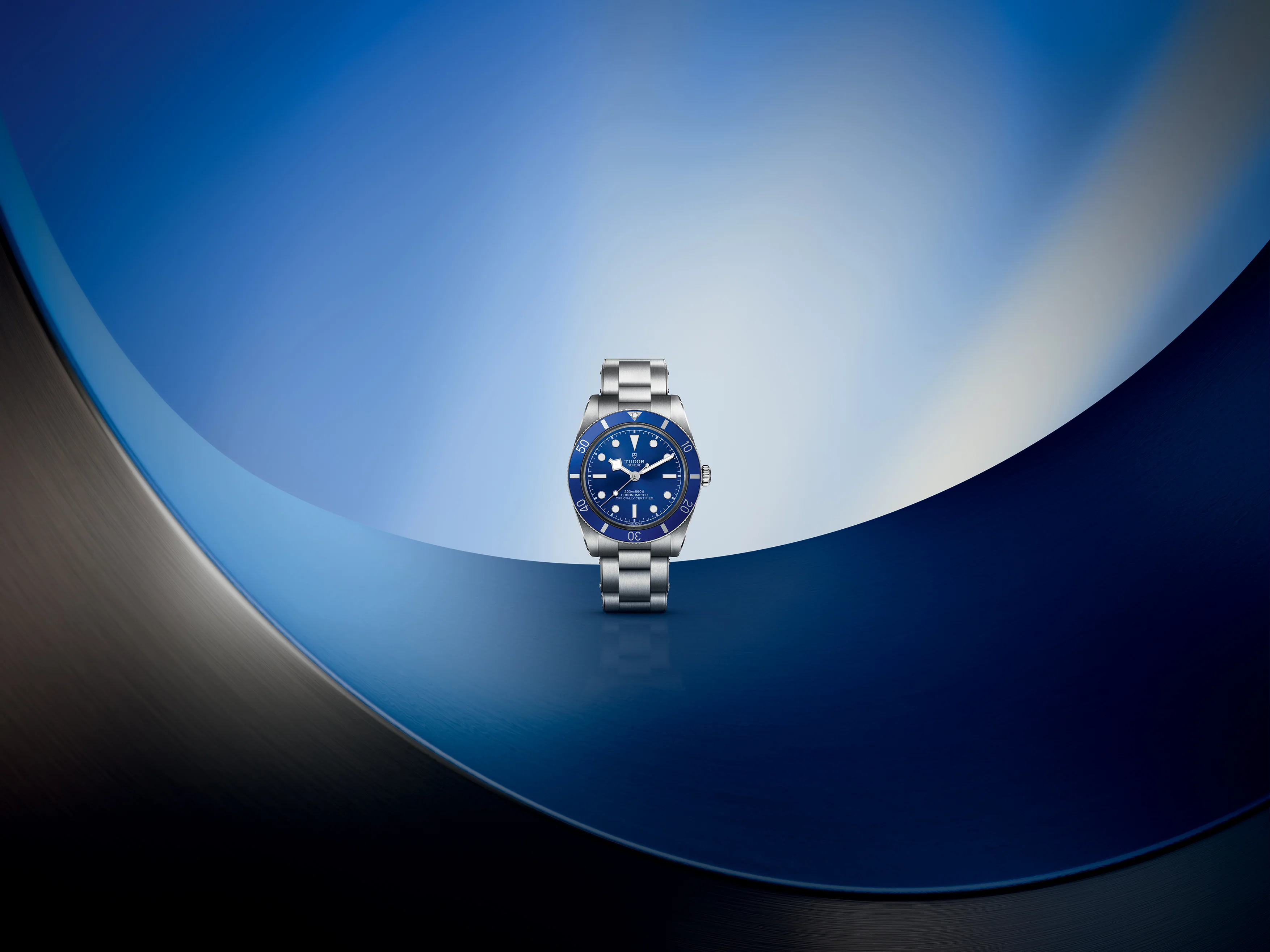 Curated Excellence in Luxury Horology